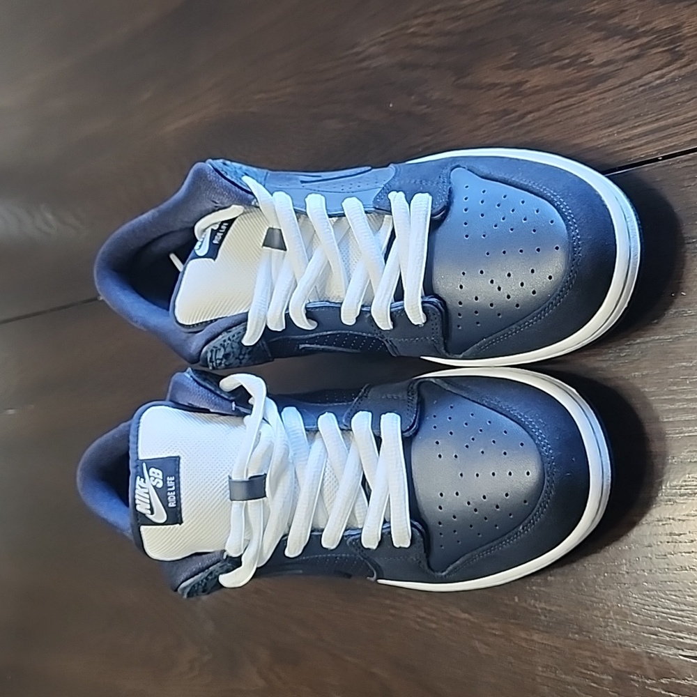 Nike SB 1973